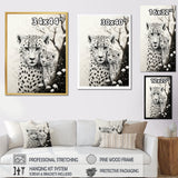 Tiger Harmony In Monochrome - Tiger Wall Art Prints