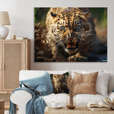 Leopard Wildlife Encounters - Tiger Wall Art Prints