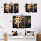 Leopard Wildlife Encounters - Tiger Wall Art Prints