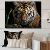 Brown Tiger Portrait - Tiger Framed Canvas Art