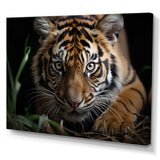 Brown Tiger Portrait - Tiger Framed Canvas Art