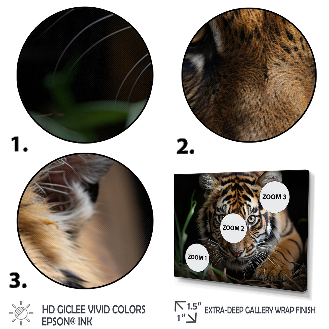 Brown Tiger Portrait - Tiger Framed Canvas Art
