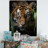 Tiger Portrait Vibrant - Tiger Large Canvas Wall Art