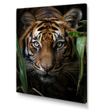 Tiger Portrait Vibrant - Tiger Large Canvas Wall Art