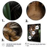 Tiger Portrait Vibrant - Tiger Large Canvas Wall Art