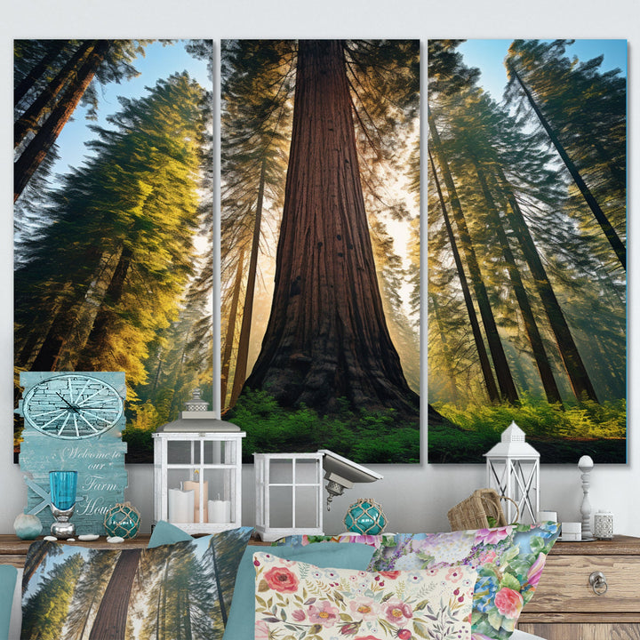 Redwood Majesty Tree Forest I - Multi-Panels