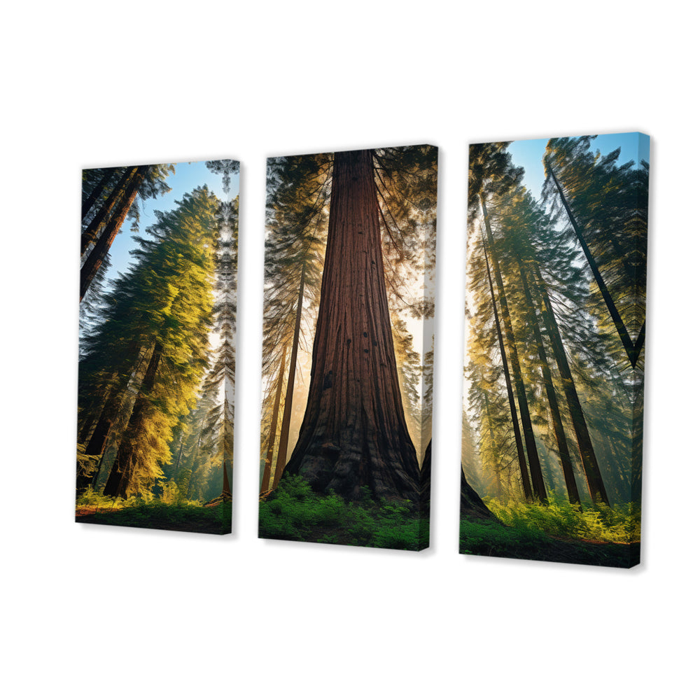 Redwood Majesty Tree Forest I - Multi-Panels
