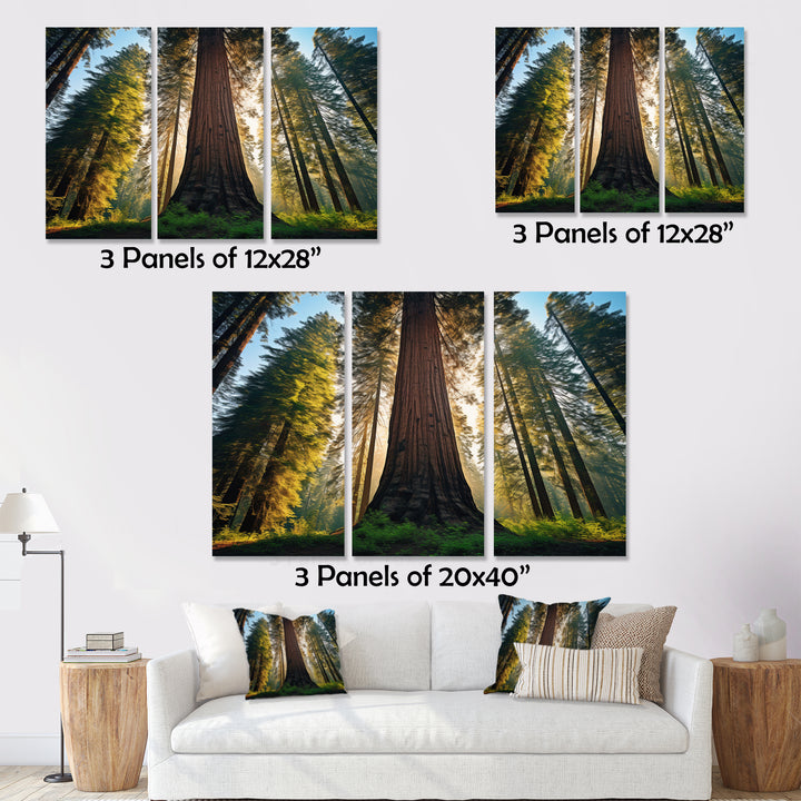 Redwood Majesty Tree Forest I - Multi-Panels