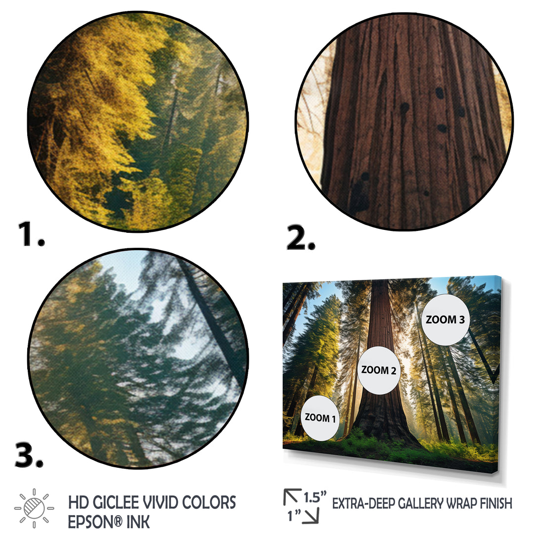 Redwood Majesty Tree Forest I - Multi-Panels