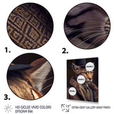Stylish Cat In Fancy Fashion Design - Cat Large Canvas Wall Art