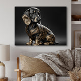 Royal Daschund Portrait - Black Dog Daschund Wall Art