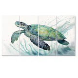 Watercolor Turtle Swimming IV - Multi-Panels