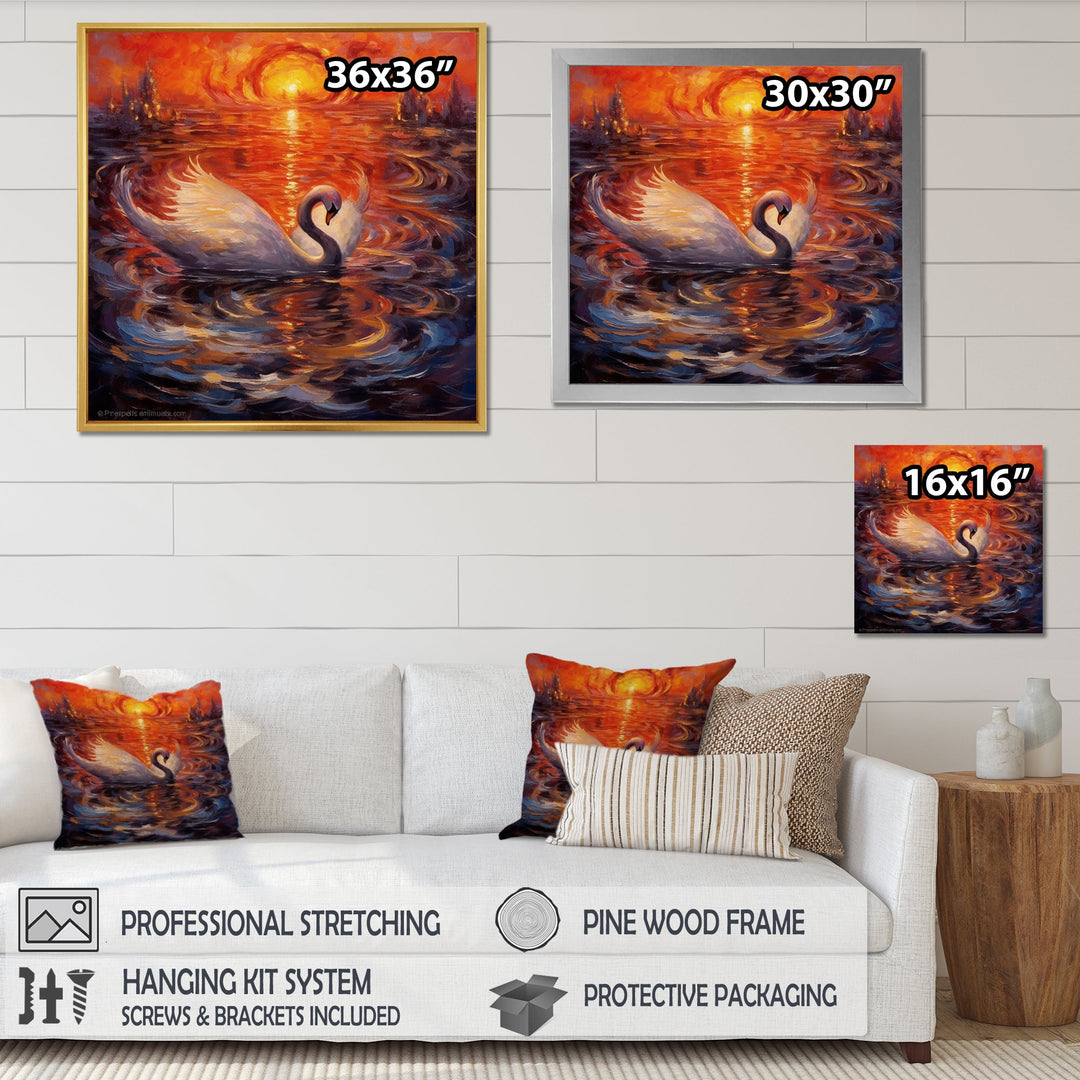 White Swan At Majestic Sunset - Swans Framed Canvas Art