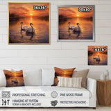 Two White Swans Romantic Sunset - Swans Home Decor Art