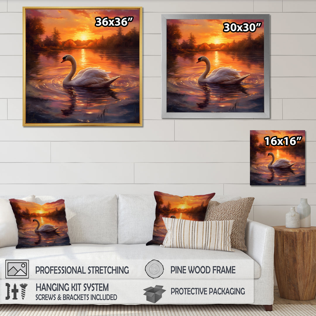 White Swan Romantic Sunset - Swans Living Room Wall Art