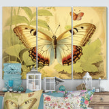 Vintage Illustration Of Elegant Butterfly II - Multi-Panels