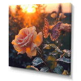 Butterfly On Pink Rose During Sunrise - Butterfly Wall Decor