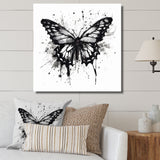 Butterfly Portrait Black And White Watercolor - Butterfly Wall Art Prints