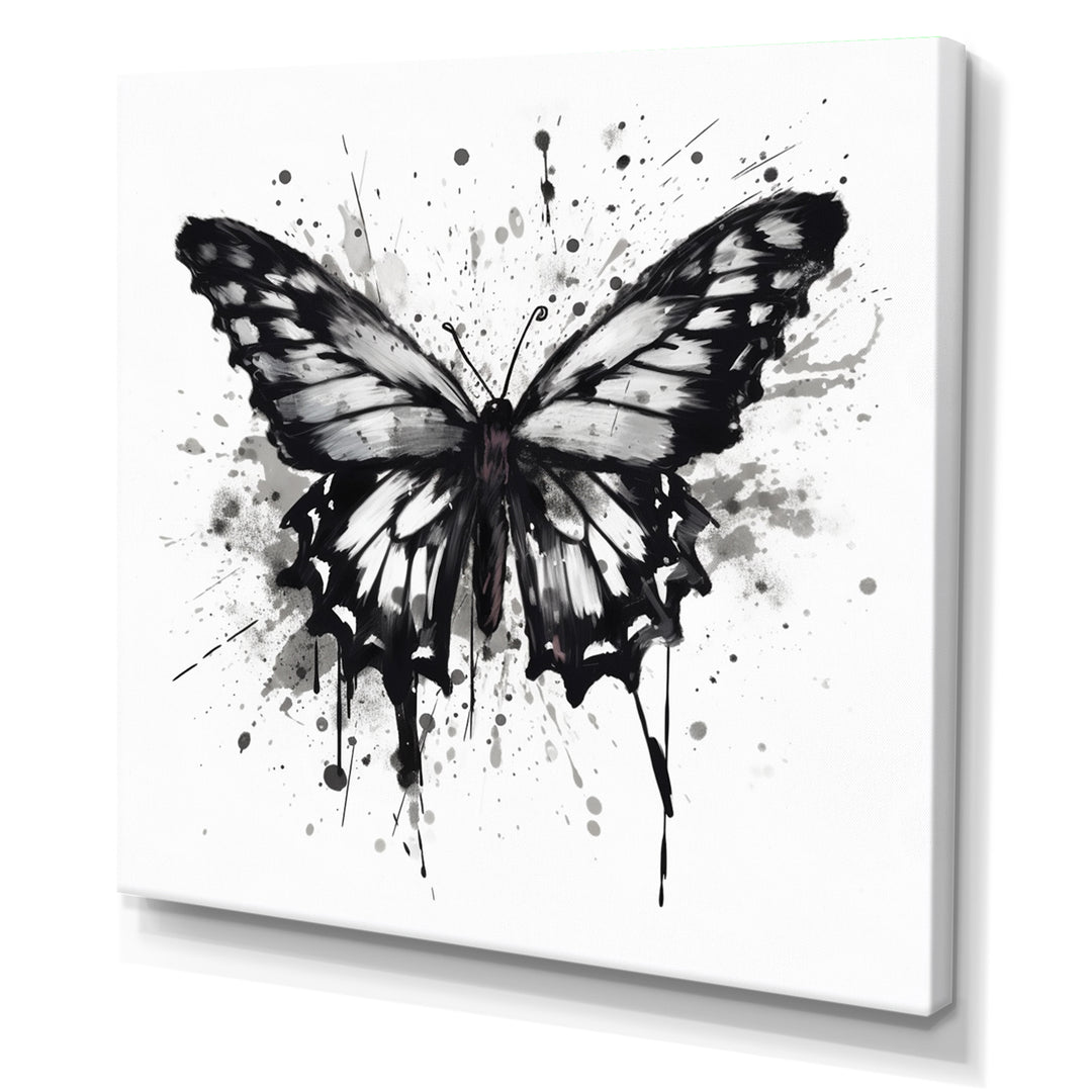 Butterfly Portrait Black And White Watercolor - Butterfly Wall Art Prints