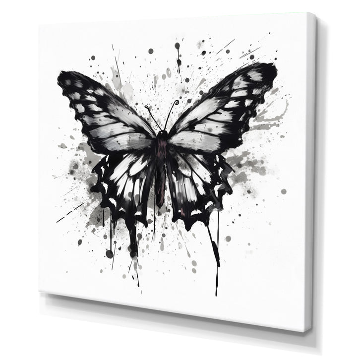Butterfly Portrait Black And White Watercolor - Butterfly Wall Art Prints