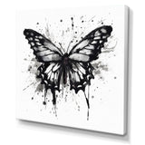 Butterfly Portrait Black And White Watercolor - Butterfly Wall Art Prints