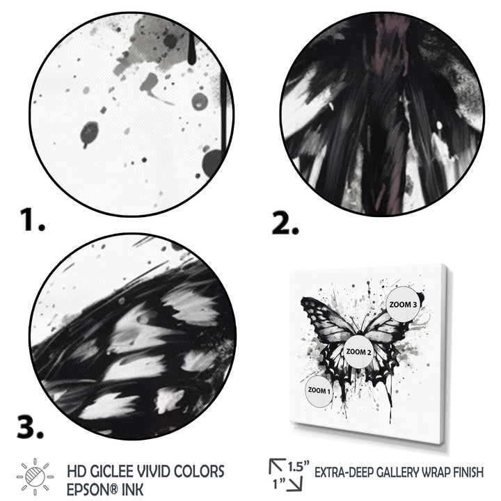 Butterfly Portrait Black And White Watercolor - Butterfly Wall Art Prints