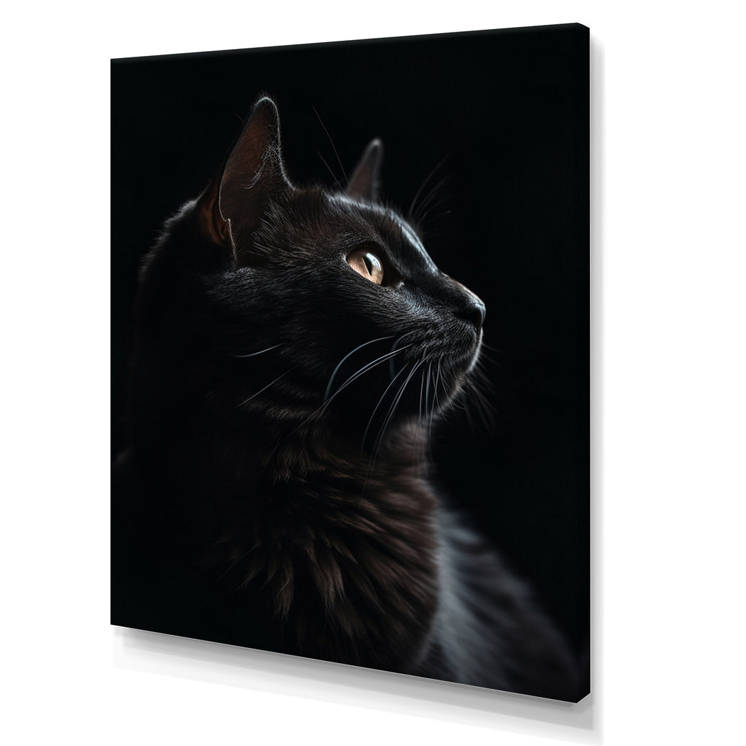 Portrait Of A Black Cat Photography - Cat Living Room Wall Art