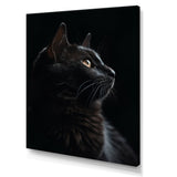 Portrait Of A Black Cat Photography - Cat Living Room Wall Art
