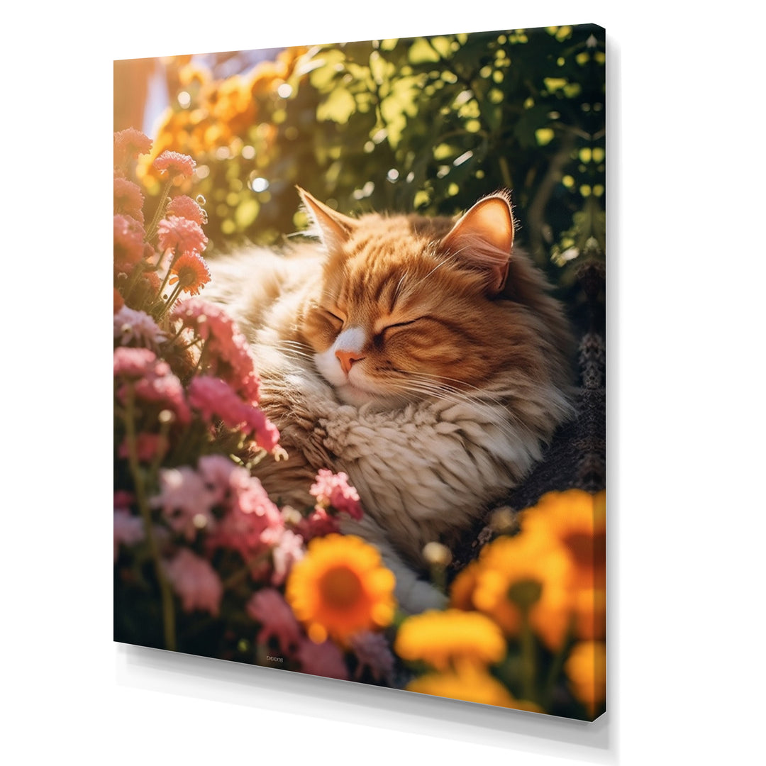 Fluffy Cat Sleeping Sunny Flower Garden - Cat Framed Canvas Art