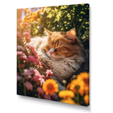 Fluffy Cat Sleeping Sunny Flower Garden - Cat Framed Canvas Art