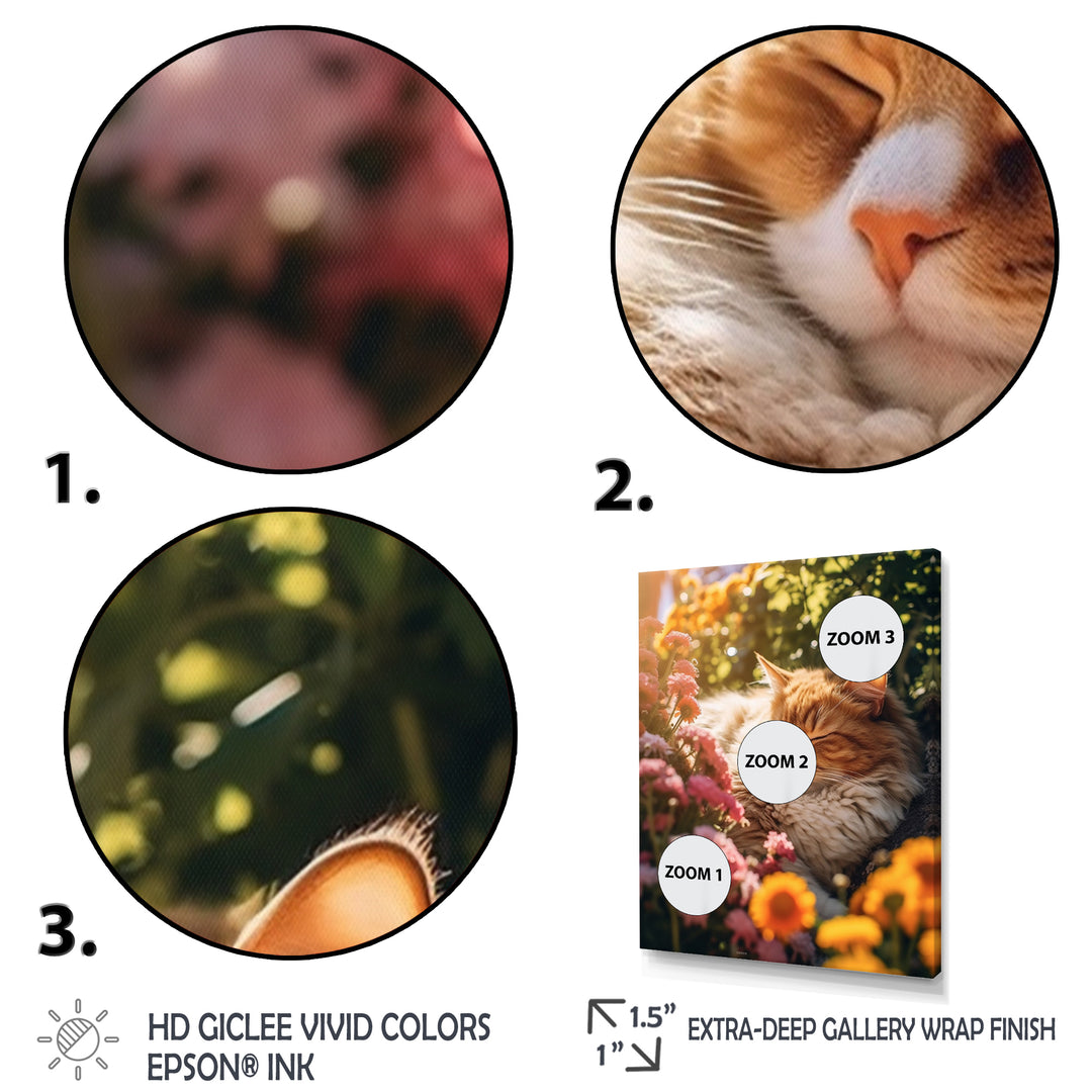 Fluffy Cat Sleeping Sunny Flower Garden - Cat Framed Canvas Art