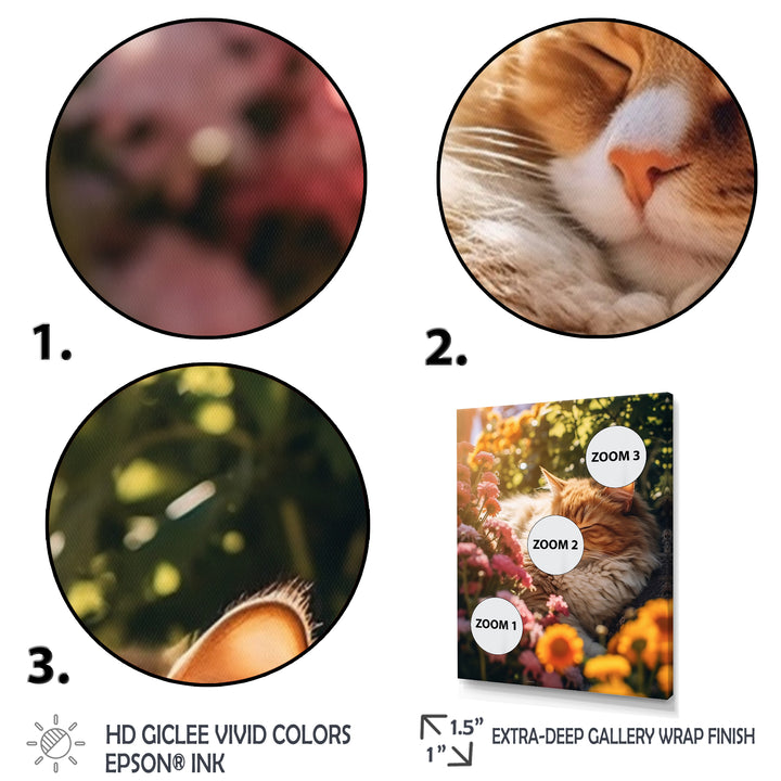 Fluffy Cat Sleeping Sunny Flower Garden - Cat Framed Canvas Art