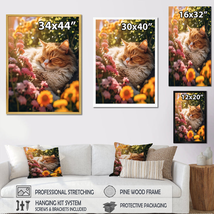 Fluffy Cat Sleeping Sunny Flower Garden - Cat Framed Canvas Art