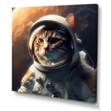 Space Cat Photography - Blue Cat Wall Art