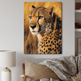 Majestic Cheetah In Savanna Plains - Cheetah Wall Decor