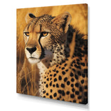 Majestic Cheetah In Savanna Plains - Cheetah Wall Decor