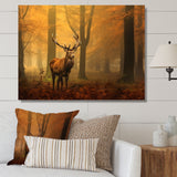 Majestic Deer In Forest Nature Photography - Deer Wall Art Prints