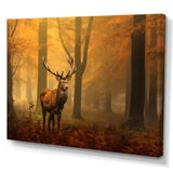 Majestic Deer In Forest Nature Photography - Deer Wall Art Prints