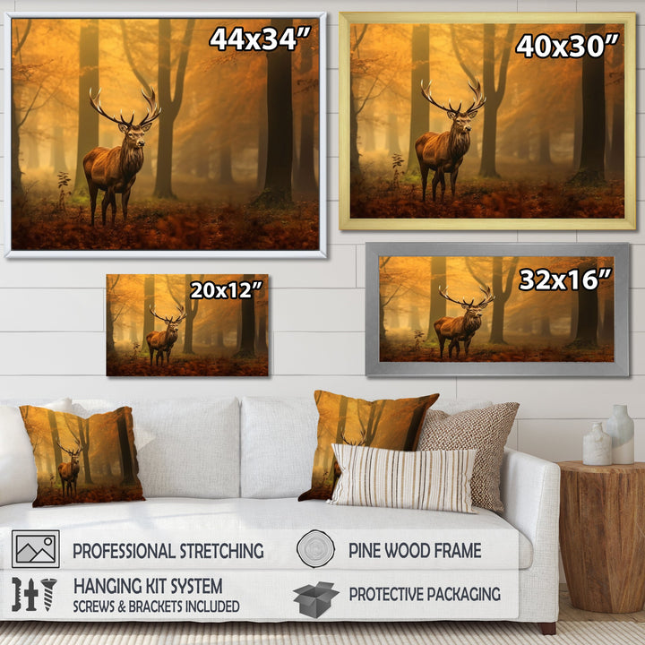 Majestic Deer In Forest Nature Photography - Deer Wall Art Prints