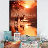 Two Deers At Sunset Nature Photography - Deer Wall Art Prints