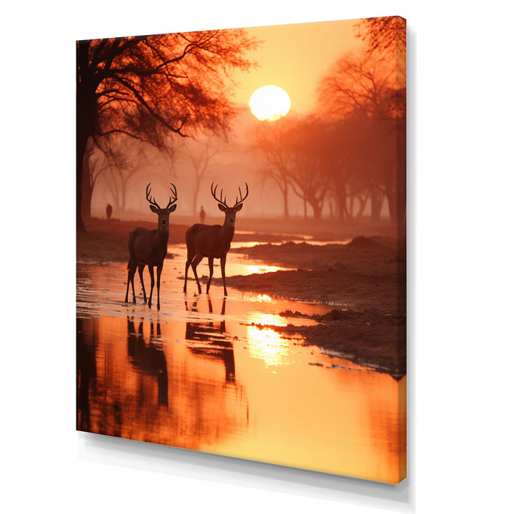 Two Deers At Sunset Nature Photography - Deer Wall Art Prints