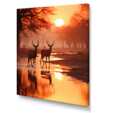 Two Deers At Sunset Nature Photography - Deer Wall Art Prints