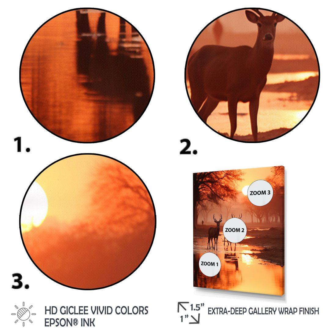 Two Deers At Sunset Nature Photography - Deer Wall Art Prints