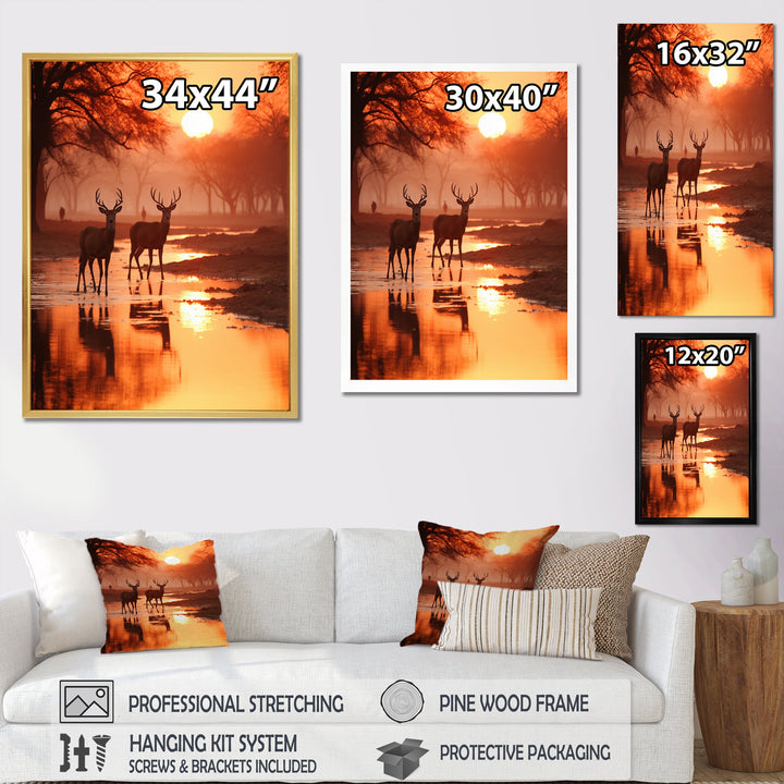 Two Deers At Sunset Nature Photography - Deer Wall Art Prints