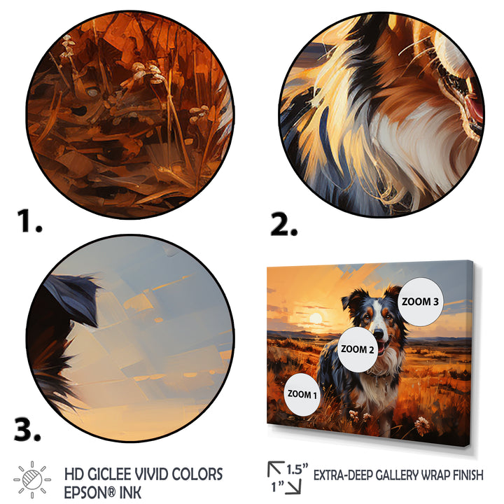 Border Collie Walking Under Golden Horizon - Dog Large Canvas Wall Art