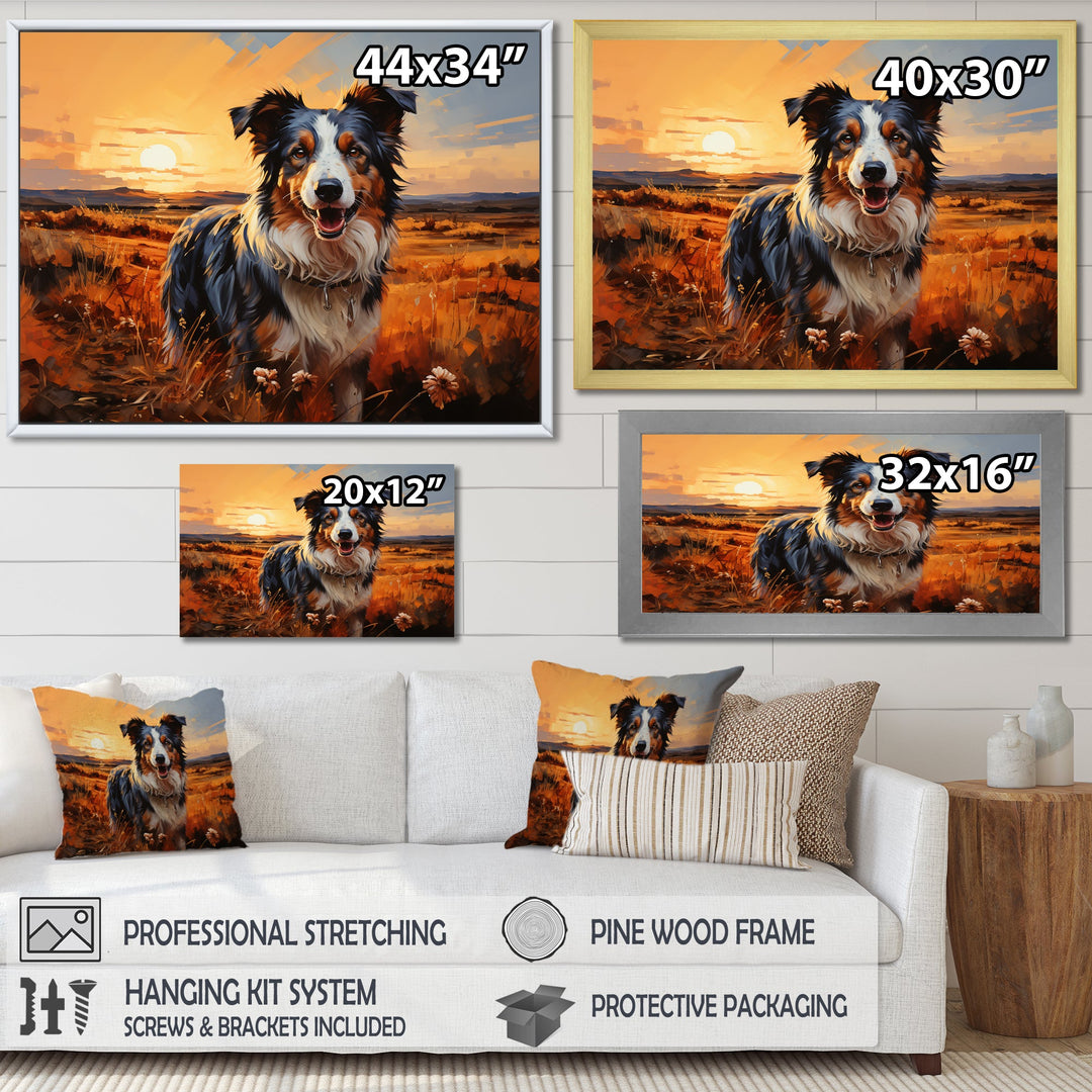 Border Collie Walking Under Golden Horizon - Dog Large Canvas Wall Art