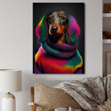 Cool Dachshund In Rainbow Designer Sweater - Dog Daschund Wall Art Prints