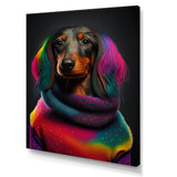 Cool Dachshund In Rainbow Designer Sweater - Dog Daschund Wall Art Prints