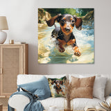 Cute Dachshund Playing In The River - Dog Daschund Home Decor Art