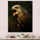 Portrait Of Eagle Nature Photography - Eagle Wall Art Prints